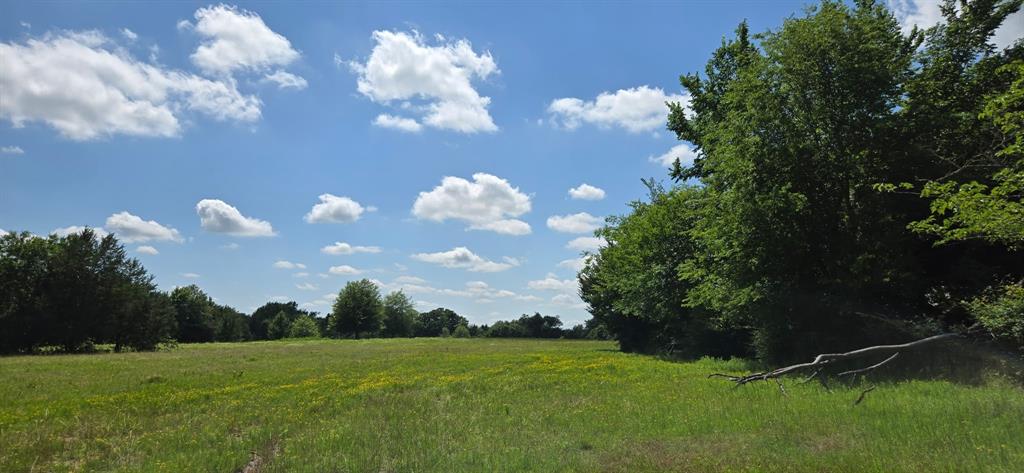 12077 County Road 1200 - Photo 1