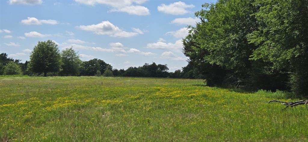 12077 County Road 1200 - Photo 10