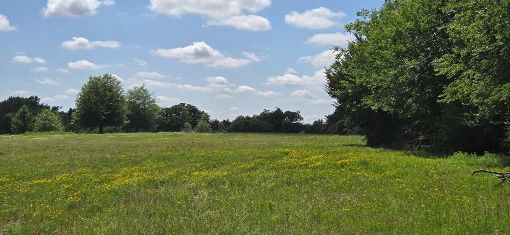 12077 County Road 1200 - Photo 2