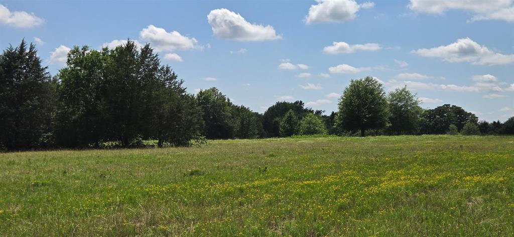 12077 County Road 1200 - Photo 3