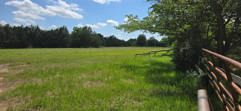 12077 County Road 1200 - Photo 5