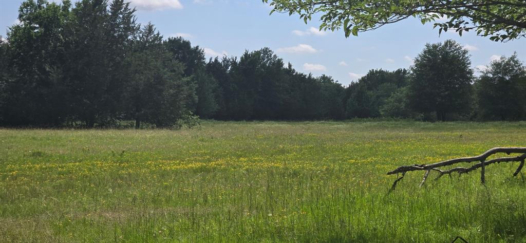 12077 County Road 1200 - Photo 6