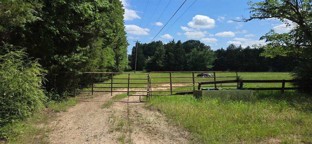 12077 County Road 1200 - Photo 9