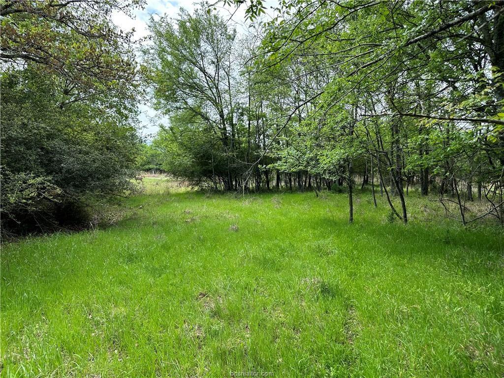 00 Hickory Loop Road - Photo 3