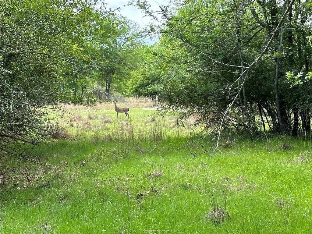 00 Hickory Loop Road - Photo 4