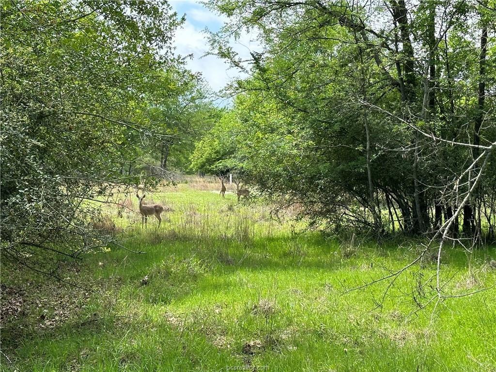 00 Hickory Loop Road - Photo 5