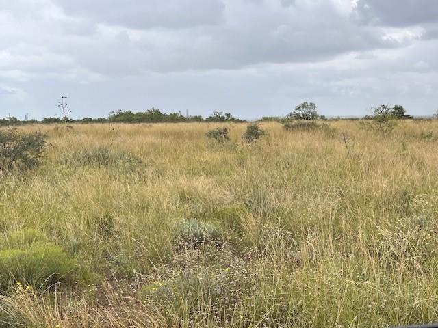 TBD3 County Road 405 - Photo 9