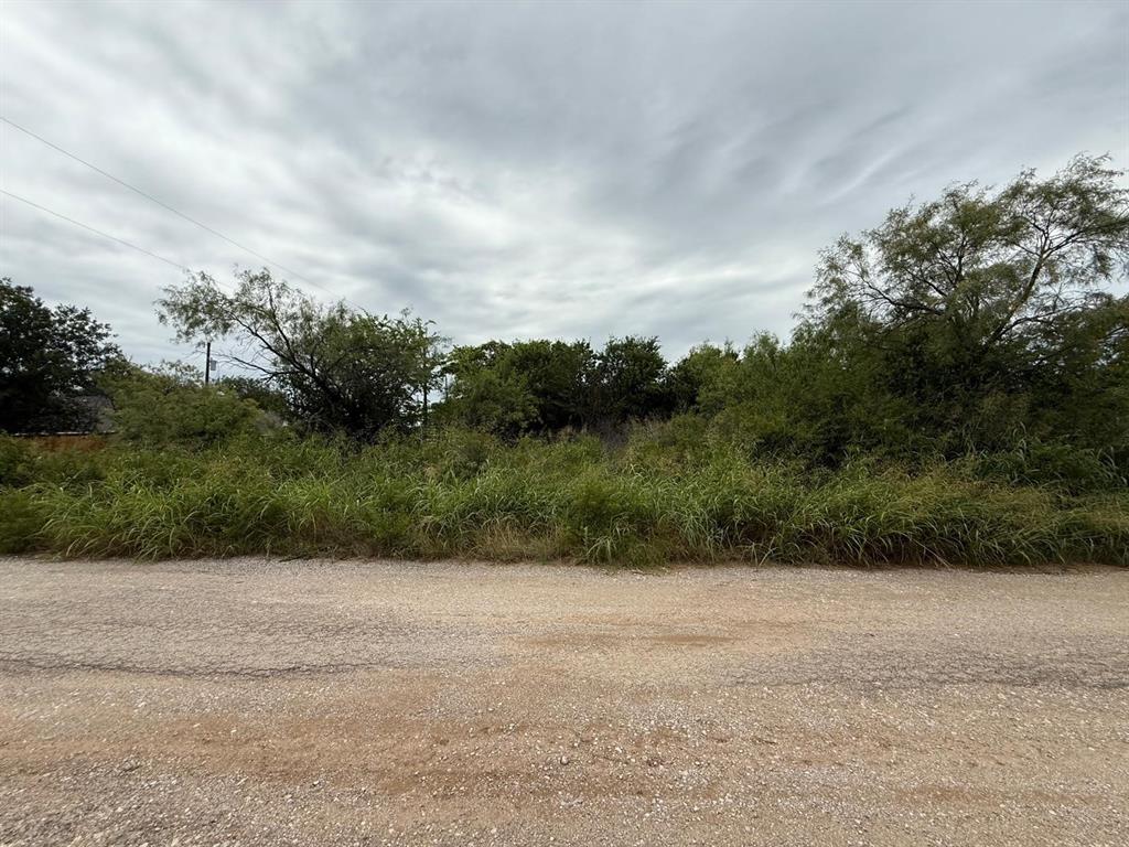 LOT 50 SHADY OAKS Drive - Photo 1