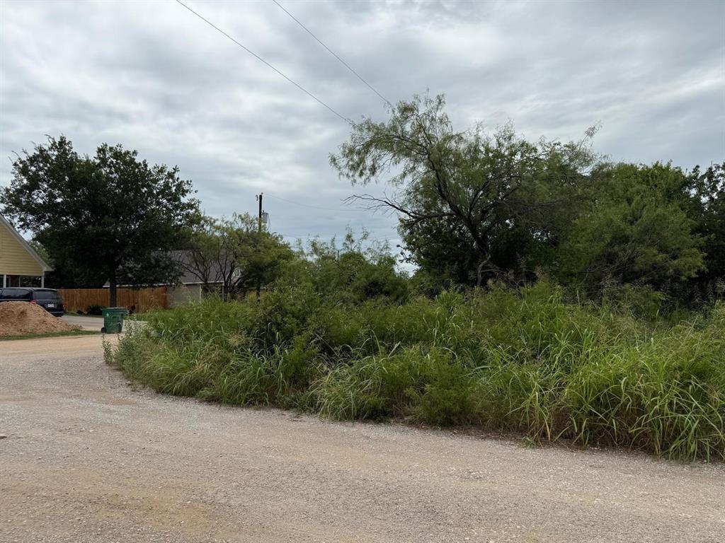 LOT 50 SHADY OAKS Drive - Photo 2