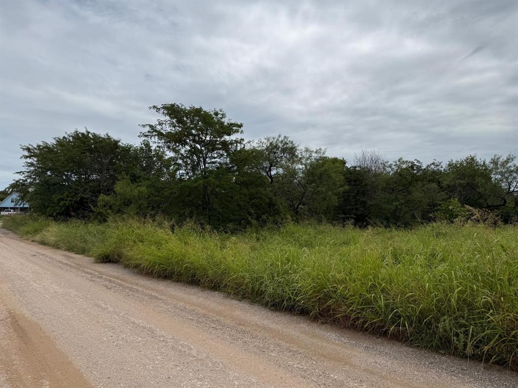 LOT 50 SHADY OAKS Drive - Photo 4