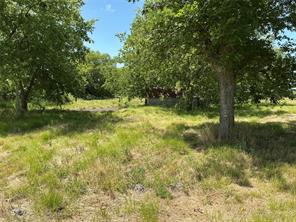 1300 S Hwy 205 - Photo 3