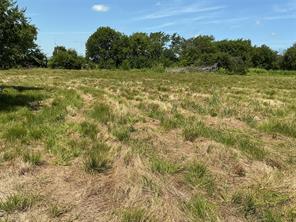 1300 S Hwy 205 - Photo 4