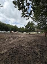 TBD Palmyra Road - Photo 17