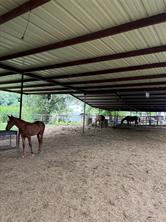 TBD Palmyra Road - Photo 28