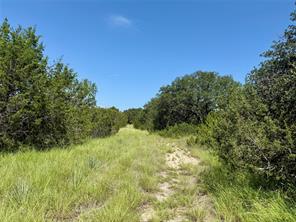 TBD E Hwy 84 - Photo 19