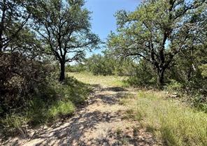 TBD E Hwy 84 - Photo 2