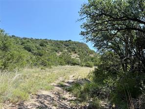 TBD E Hwy 84 - Photo 24