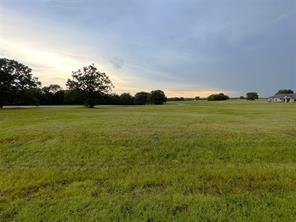 273 Eagle Oaks Lane - Photo 2