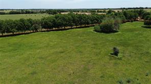 000 County Road 366 - Photo 10