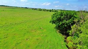 000 County Road 366 - Photo 13