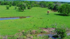 000 County Road 366 - Photo 19
