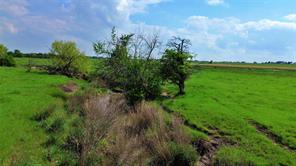 000 County Road 366 - Photo 24