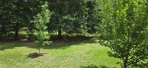 105 Janice Circle - Photo 13