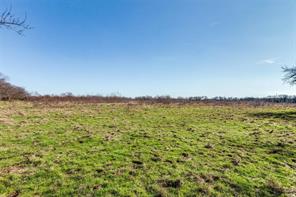 8069 County Road 623 - Photo 11