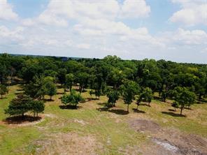 1800 North Lincoln Park Road Road - Photo 5