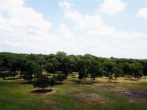 1800 North Lincoln Park Road Road - Photo 6