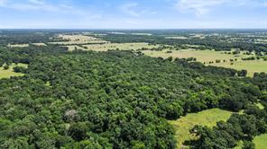 289 County Road 4586 - Photo 11
