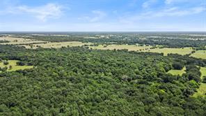 289 County Road 4586 - Photo 13