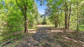 289 County Road 4586 - Photo 24