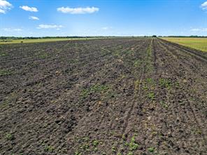 TBD FM-697 Highway - Photo 13