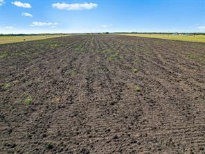 TBD FM-697 Highway - Photo 15