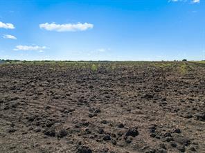 TBD FM-697 Highway - Photo 16