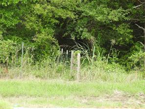 000 hwy 78 N - Photo 16