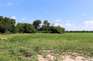 48Ac CR 2165 - Photo 19