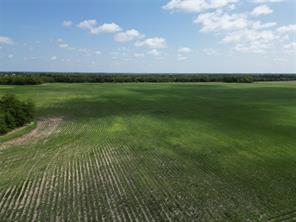 48Ac CR 2165 - Photo 9