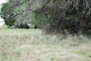 42158 Augusta Drive - Photo 7