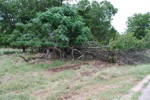 42158 Augusta Drive - Photo 9