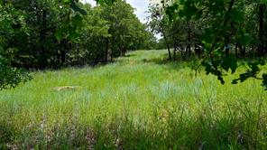 169 Post Oak Cove - Photo 4