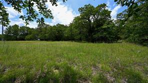 169 Post Oak Cove - Photo 7
