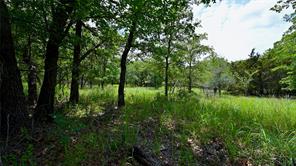169 Post Oak Cove - Photo 9