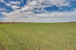 4300 County Road 1224 - Photo 11