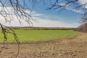 4300 County Road 1224 - Photo 15