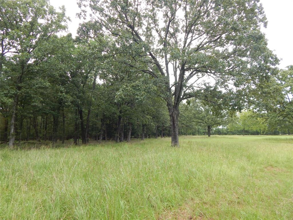 14 & 46 Lakeside Estates - Photo 1
