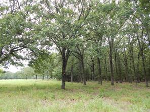 14 & 46 Lakeside Estates - Photo 12