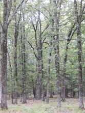 14 & 46 Lakeside Estates - Photo 14