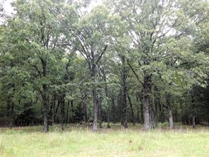 14 & 46 Lakeside Estates - Photo 17